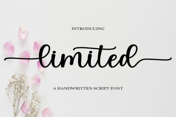 Limited Typeface Review: A Charming Script for Digital Brands