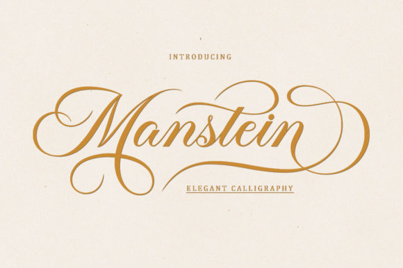 Manstein: The Perfect Script Font for Handmade Branding