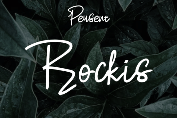 Rockis: A Designer's Honest Review for Real-World Branding