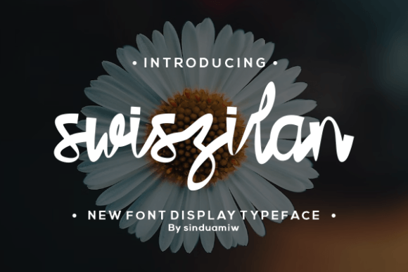 Swiszilan: The Handwritten Typeface That Elevates Small Business Branding